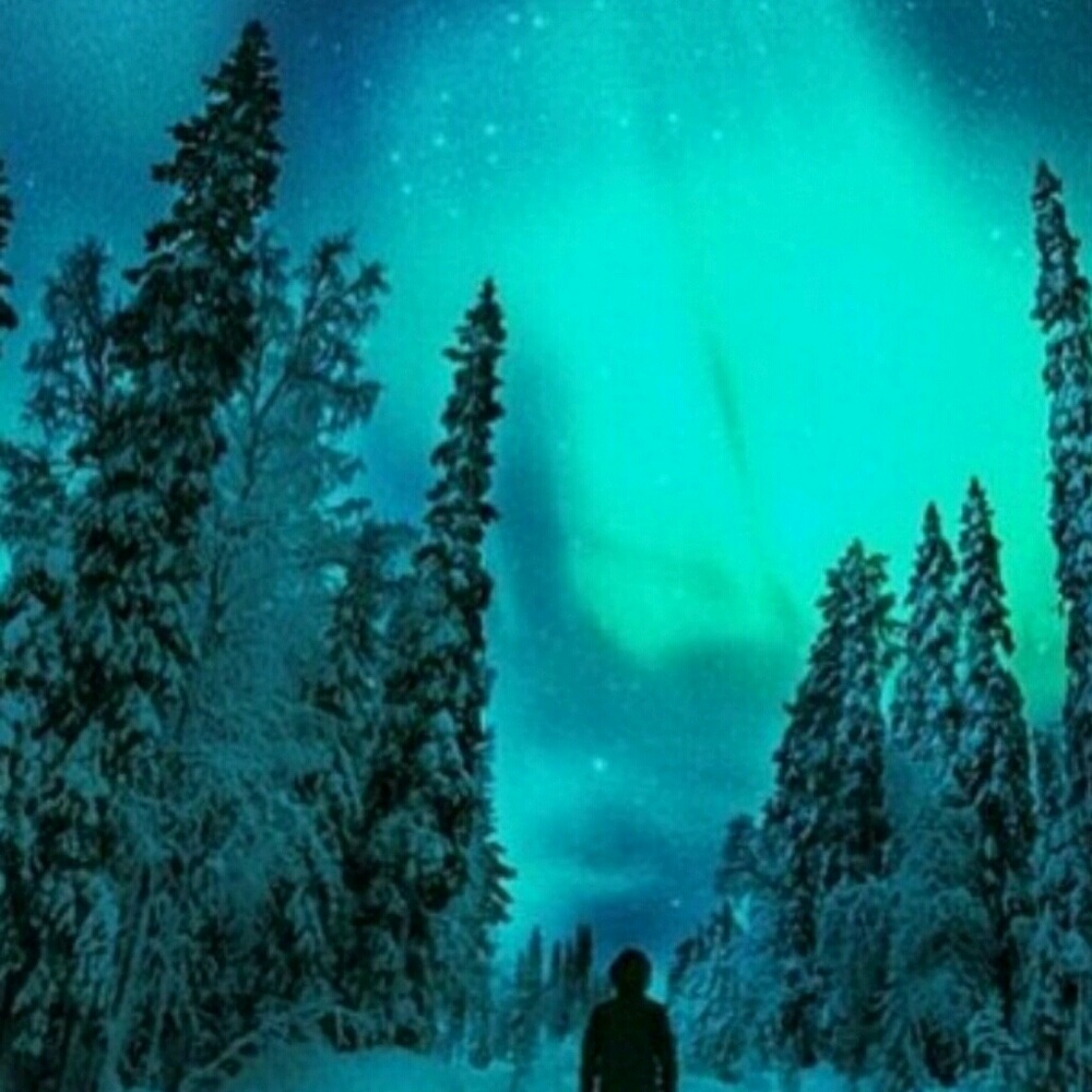 Meet your Posher, Pina